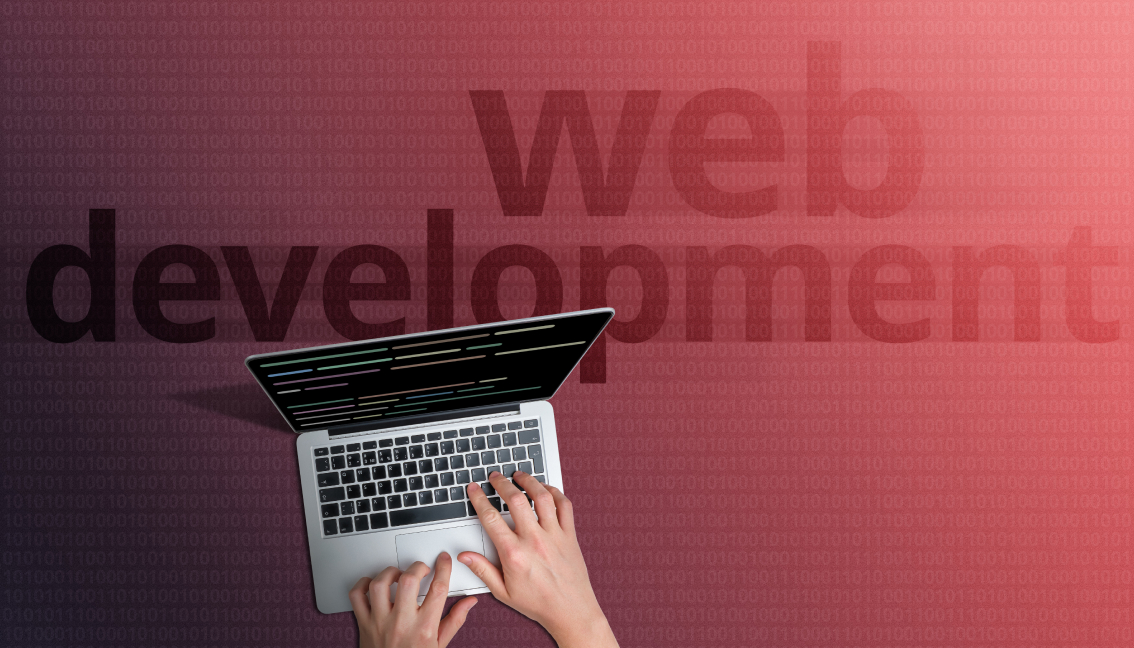 From Startups to Enterprises: Why Lakes Region Businesses Choose Professional Website Development Services